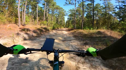 Downhill Lost In The Woods - 4