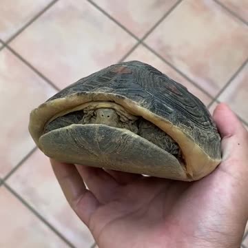 Safe to come out now 😊