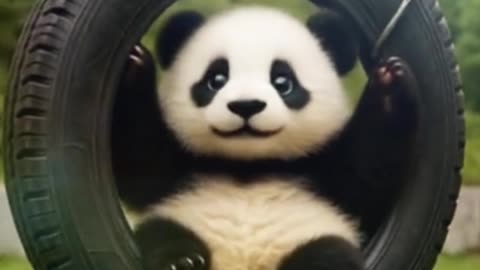 🎡🐼 Molo Swing – Is it Scary or Fun?