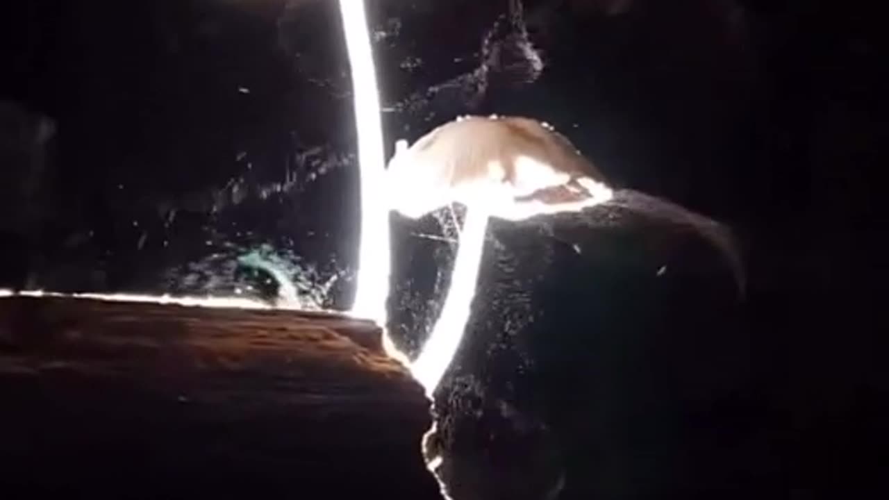 lovely wind video