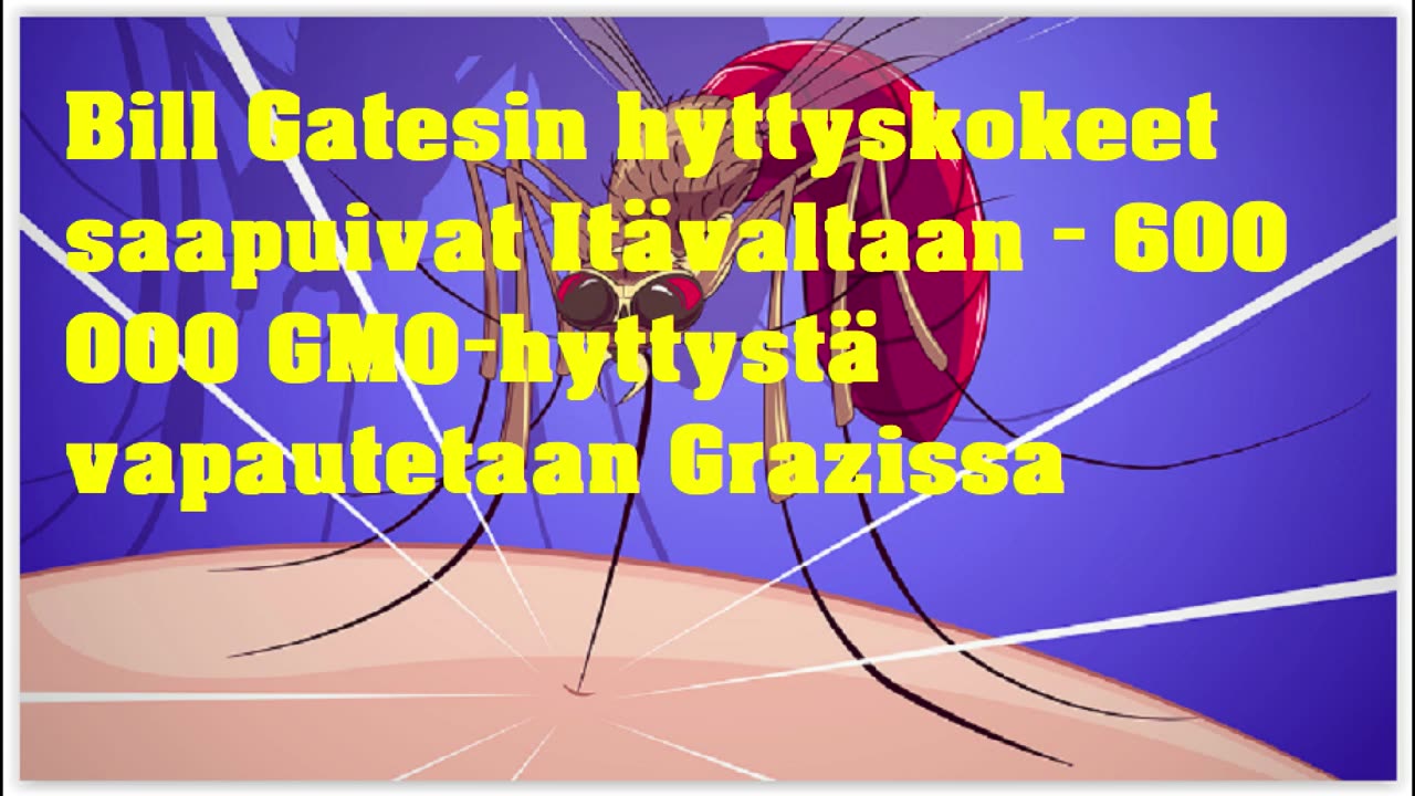 Bill Gatesin hyttyskokeet saapuivat Itävaltaan
