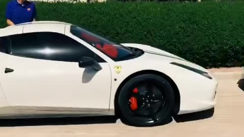 🤯💨 This V12 Lamborghini Rev Sound is PURE Symphony! | LuxurySportsCars