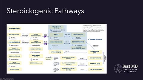 SVHI 2025.4 Men's (and Women's) Hormones with Sonya Kim, MD, MBA
