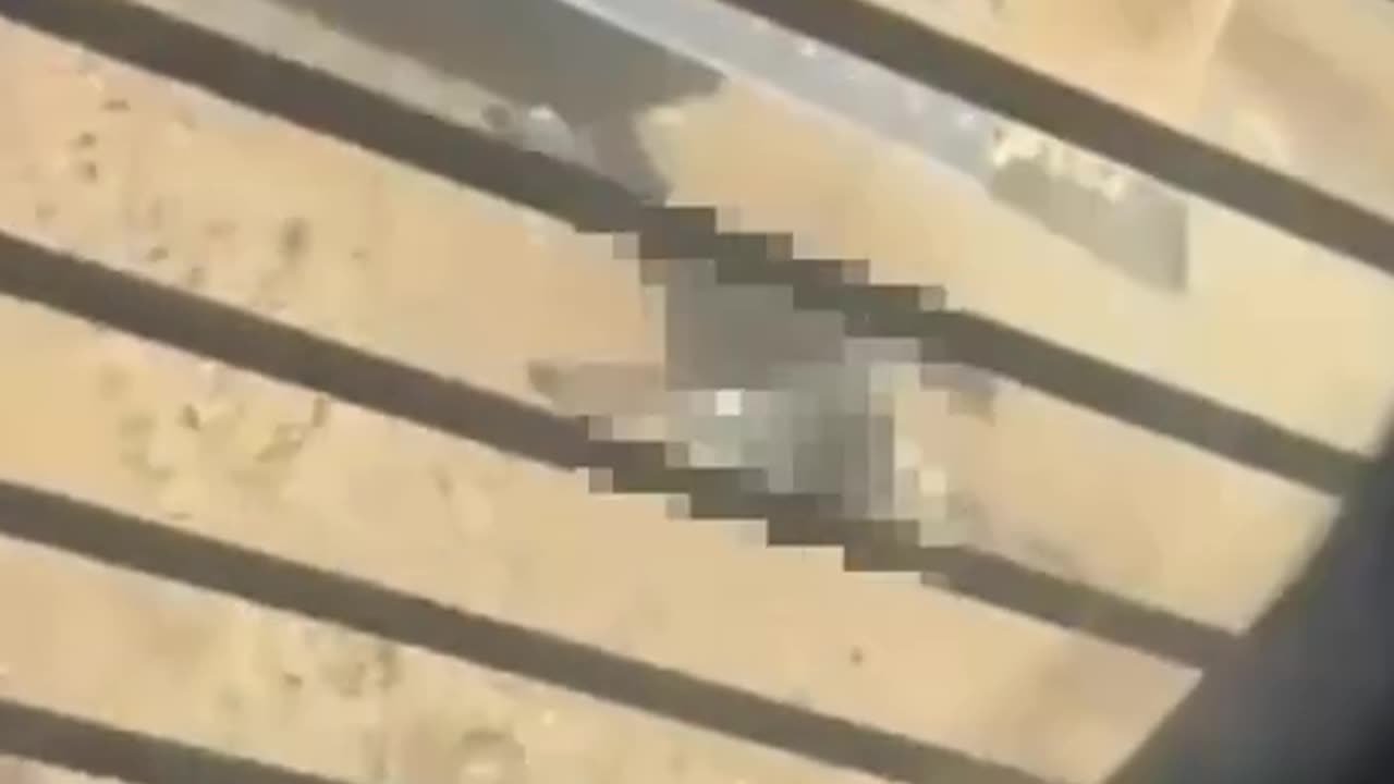 Zionist IDF Bulldozer Crushes Living Palestinian