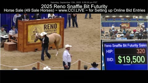 2025 Reno Snaffle Bit Futurity ~ Saturday NP Boxing