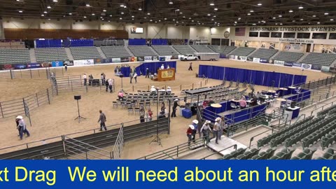 2025 Reno Snaffle Bit Futurity ~ Saturday NP Boxing