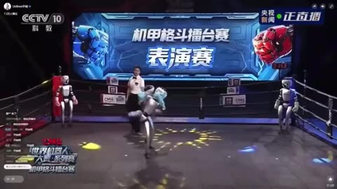 Rockem Sockem