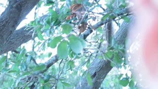 Sharing sandwich at Park