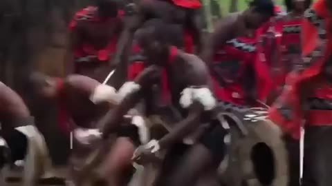 Emaswati warrior dance