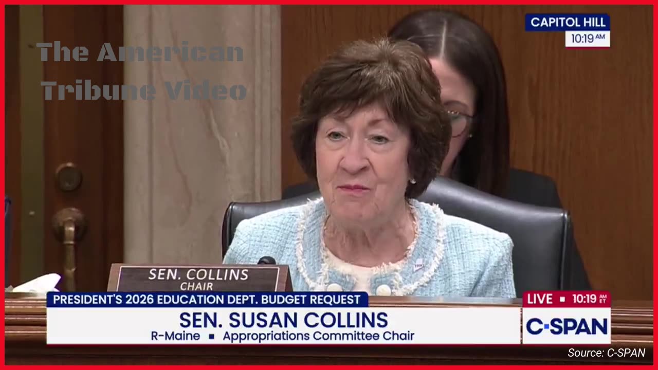 Deep State RINOs Slammed Over Alleged Corruption as Fight with Trump Escalates