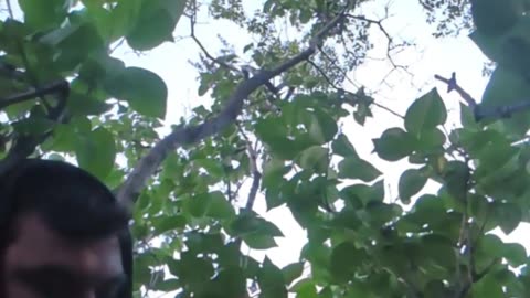 Diesel is live!-P9EtcvRjM5s