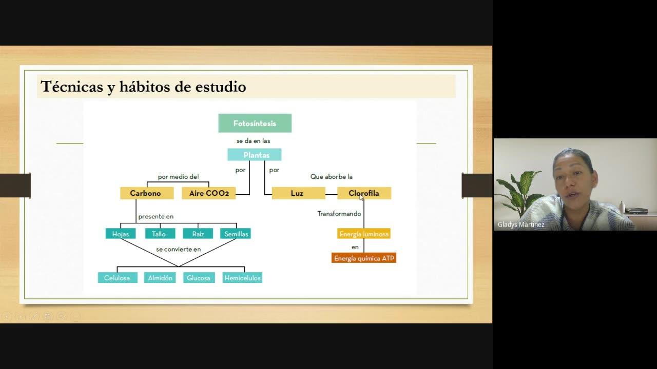 PSICOLOGIA CINCO