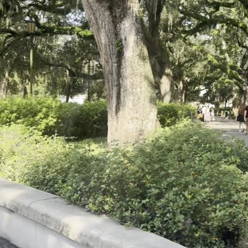 The Greatest Show on Earth - The GigaNiga in Savannah - Episode VIII Part I