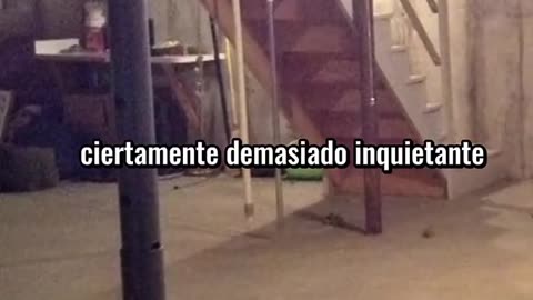 secreto en la pared #historiasreales #crimen #casosreales #relatos #Viral #camilomaca