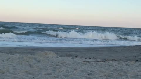 Evening ocean