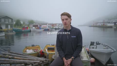 Rebuilding Capelin Everybodyâs Fish