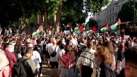 Protesters rally at Downing Street against Palestine Action ban