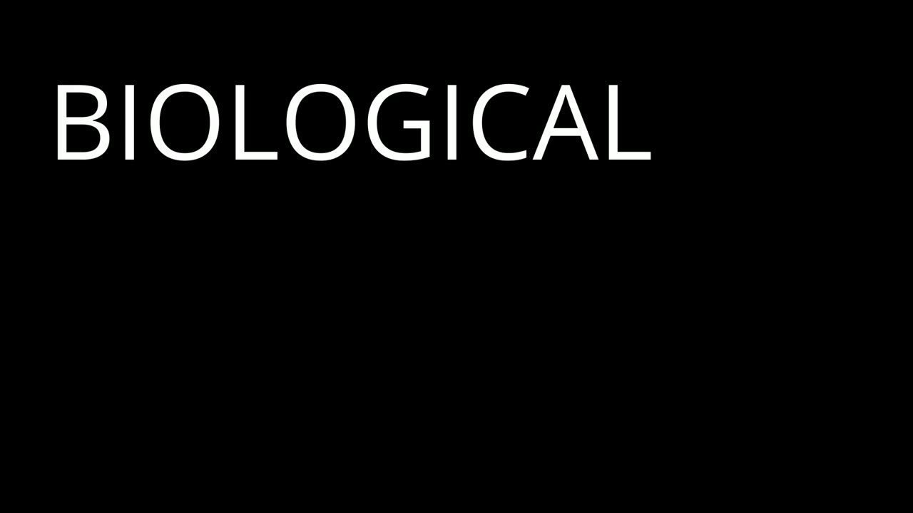 The Dark Side of Euphoria | Freud - Part 2
