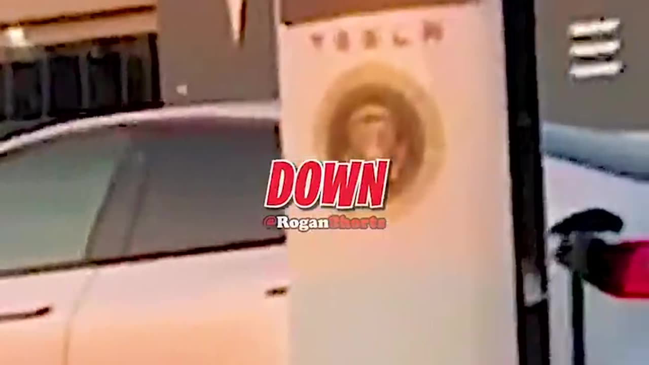 Joe Rogan Reacts to Tesla Global Protest