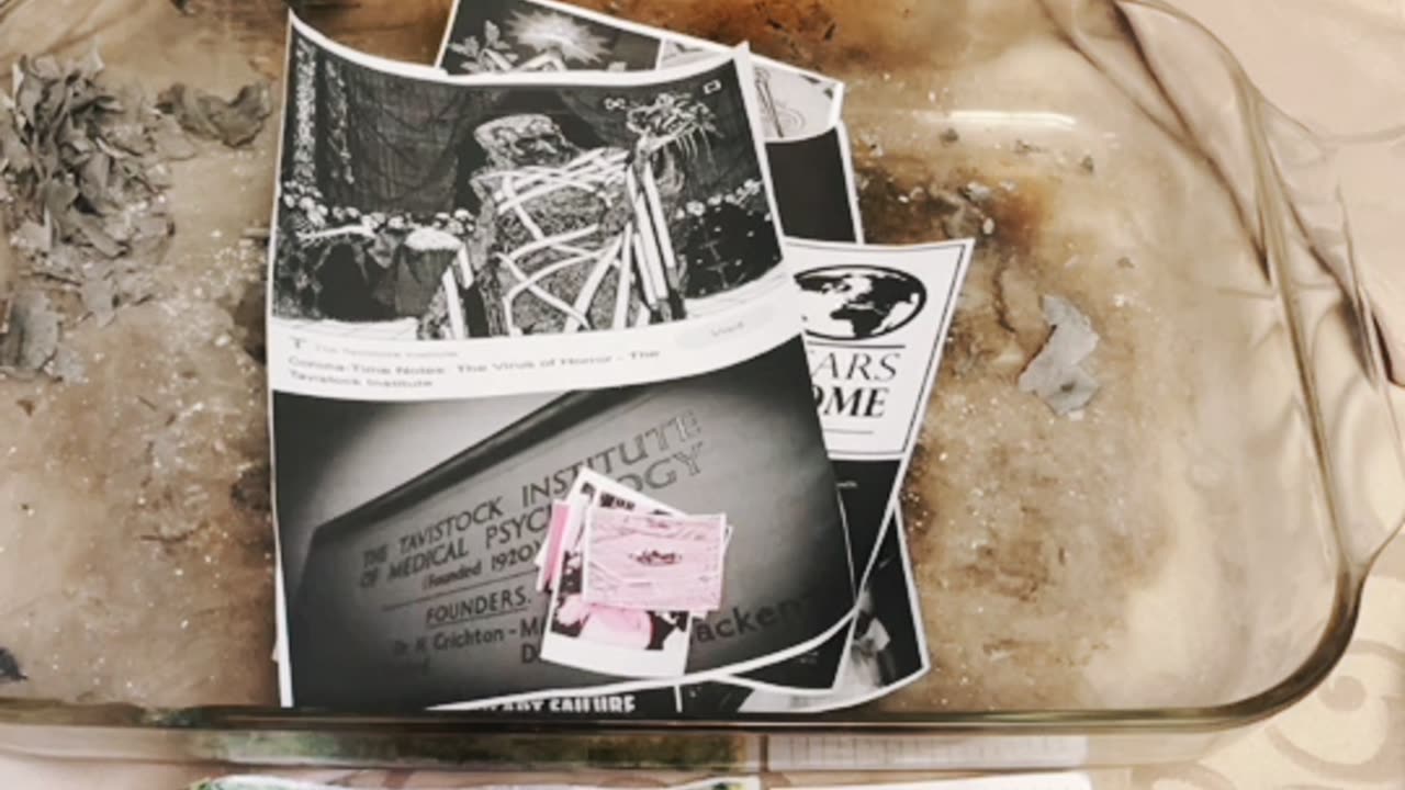 Tim Rifat TikTok Videos