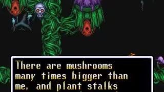@ ILLUSION OF GAIA