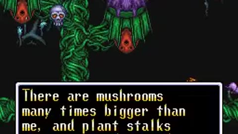 @ ILLUSION OF GAIA