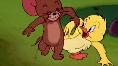 Swimming lessons for little Quacker / Tom and jerry / #Classic cartoons#
