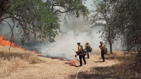 Idaho Firefighters Ambush News Explainer