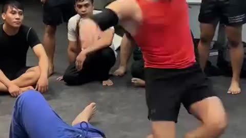 Hapkido