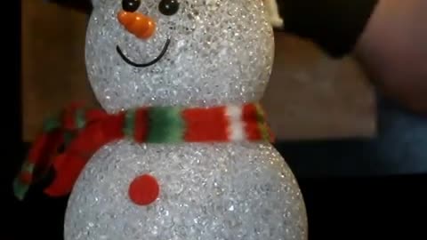 snowman and circuit board in microwave