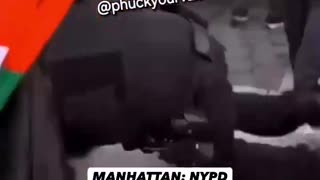 A NYPD officer was PEPPER SPRAYED by pro-Hamas protesters..