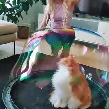 Owner and cat having fun😻😻.