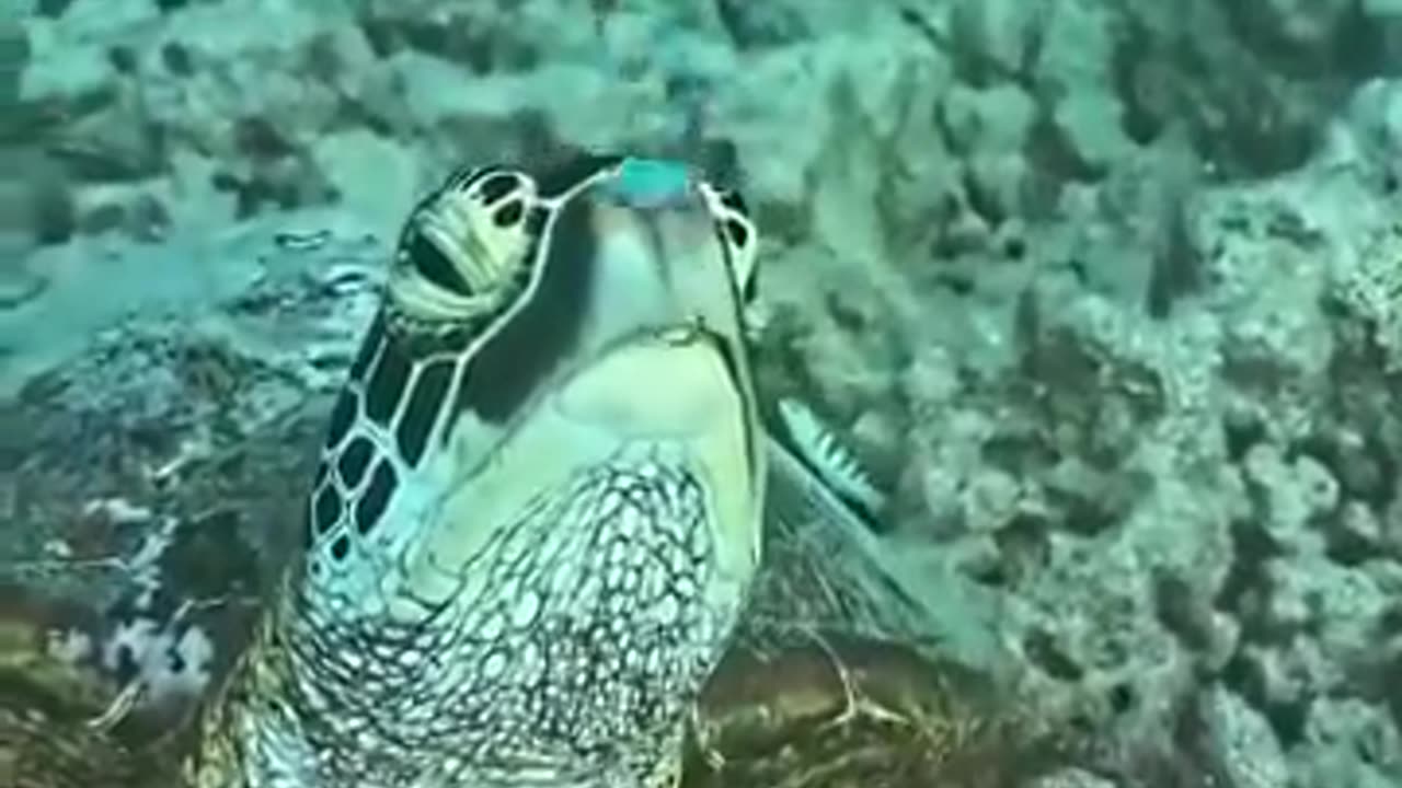 我上班的精神状态