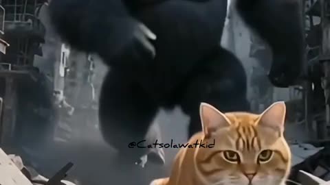 kucing Oren menyelamatkan bayi dari kingkong raksasa #cat #shortvideo #Ai
