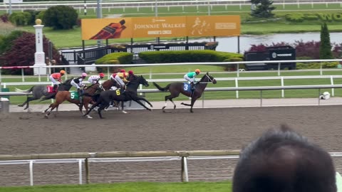 Thoroughbred racing in Toronto 2