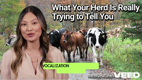 Moody Cows:What Your Herd is Really Trying to Tell You