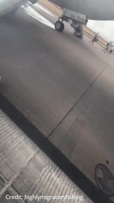 American Airlines Boeing 737 Max catches fire at Denver airport