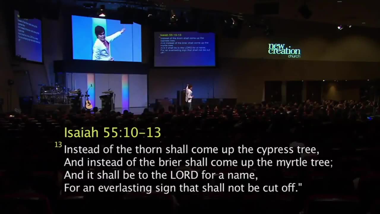 O poder de um coração relaxado que dá saúde!