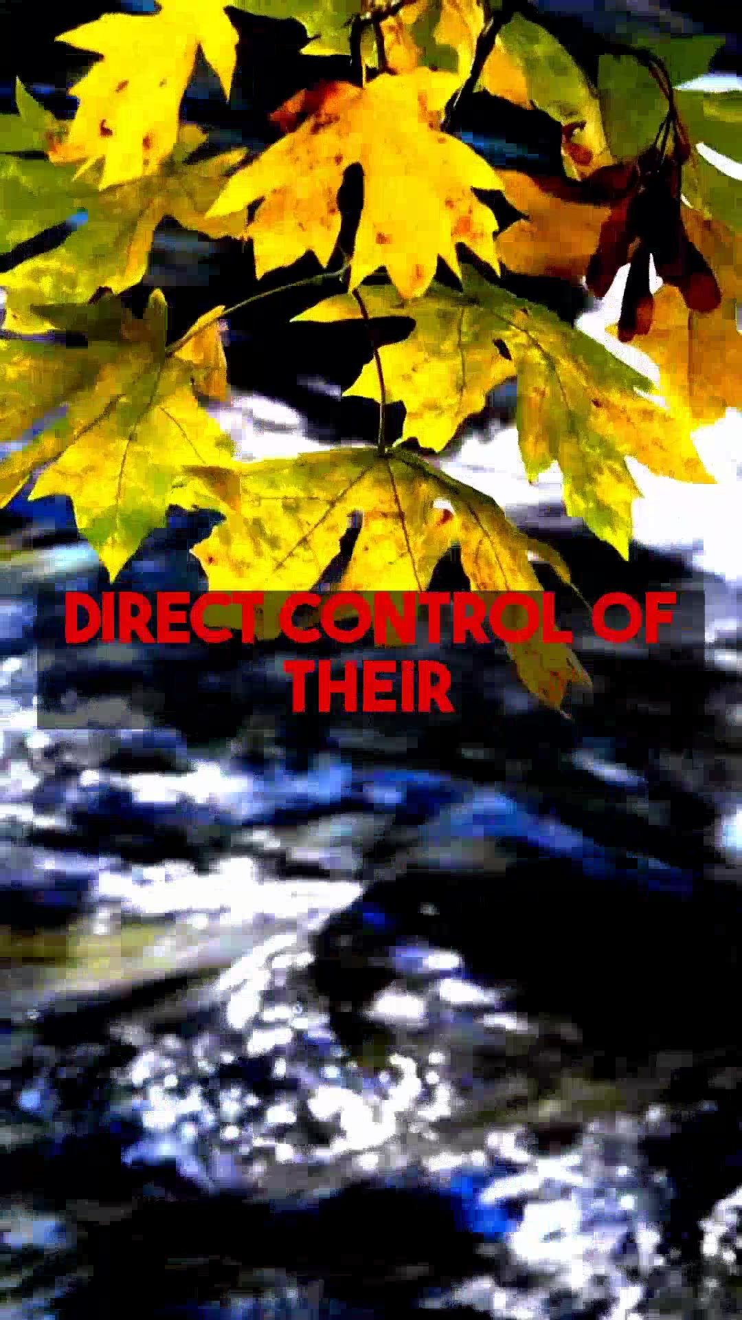 Global Political Shifts Reshaping Cryptocurrency Investment