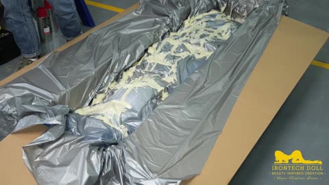How Does Irontech Doll Pack Sex Dolls? Secrets Revealed