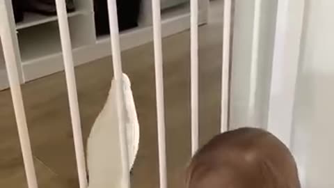 Baby and cat