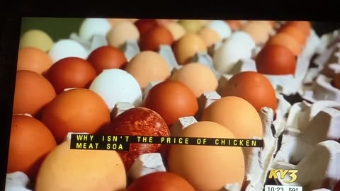the chicken or the egg