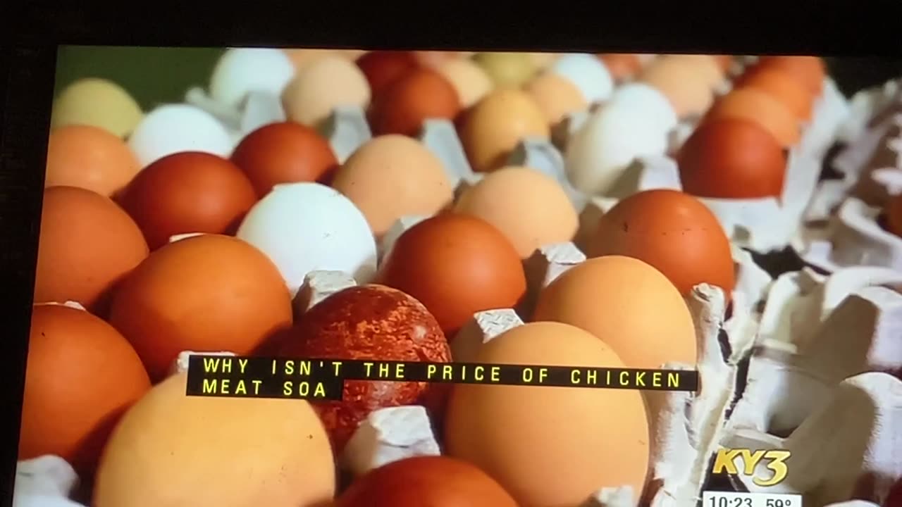 the chicken or the egg