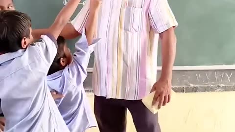 funny videos