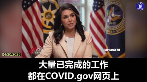 Tulsi Gabbard Has Created Special Team to Investigate COVID-19 Origins