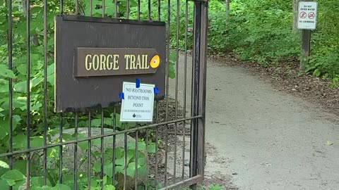 Treman State Park Gorge Trail: The Start!