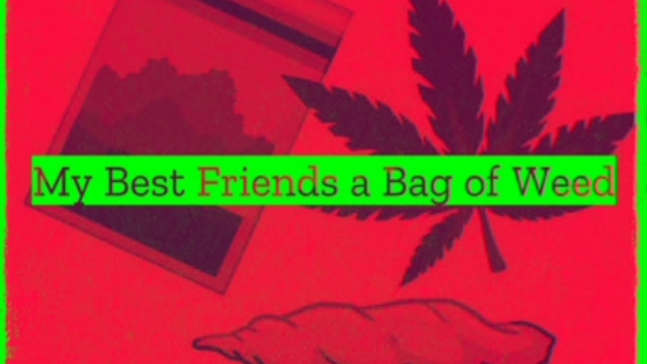 My Best Friends A Bag Of Weed