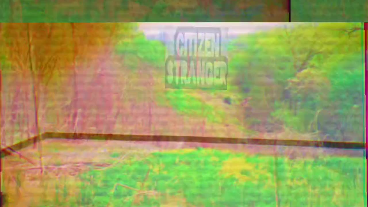 came sunday night... [demo]