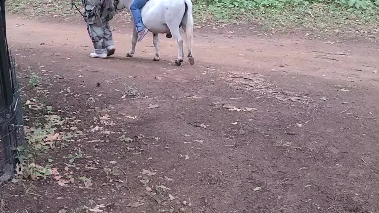 Kyla always wanted to try and ride Jack the mini donkey!
