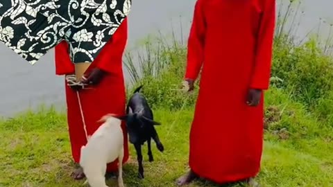 REAL ILLUMINATI AGENT IN UGANDA CALL+256766330773/+256702335894